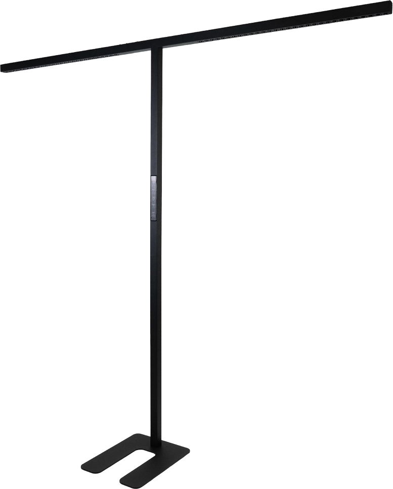 photo de l'article 736213