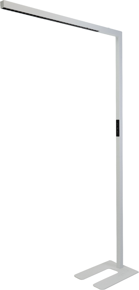 photo de l'article 736214