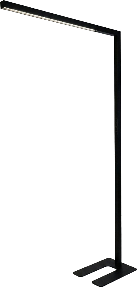 photo de l'article 736215