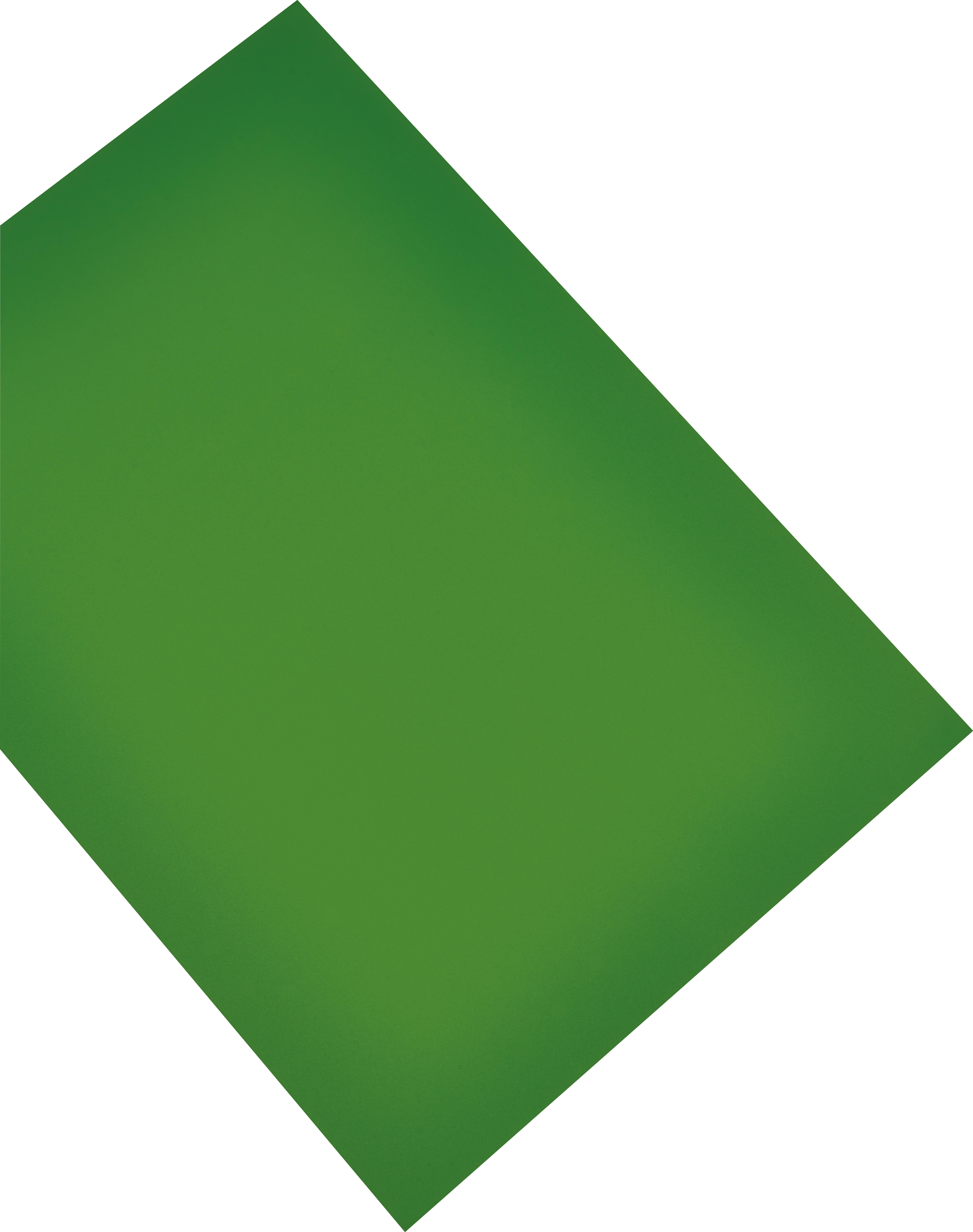 MAGNETOPLAN Papier magnétique A4 1266005 vert vert