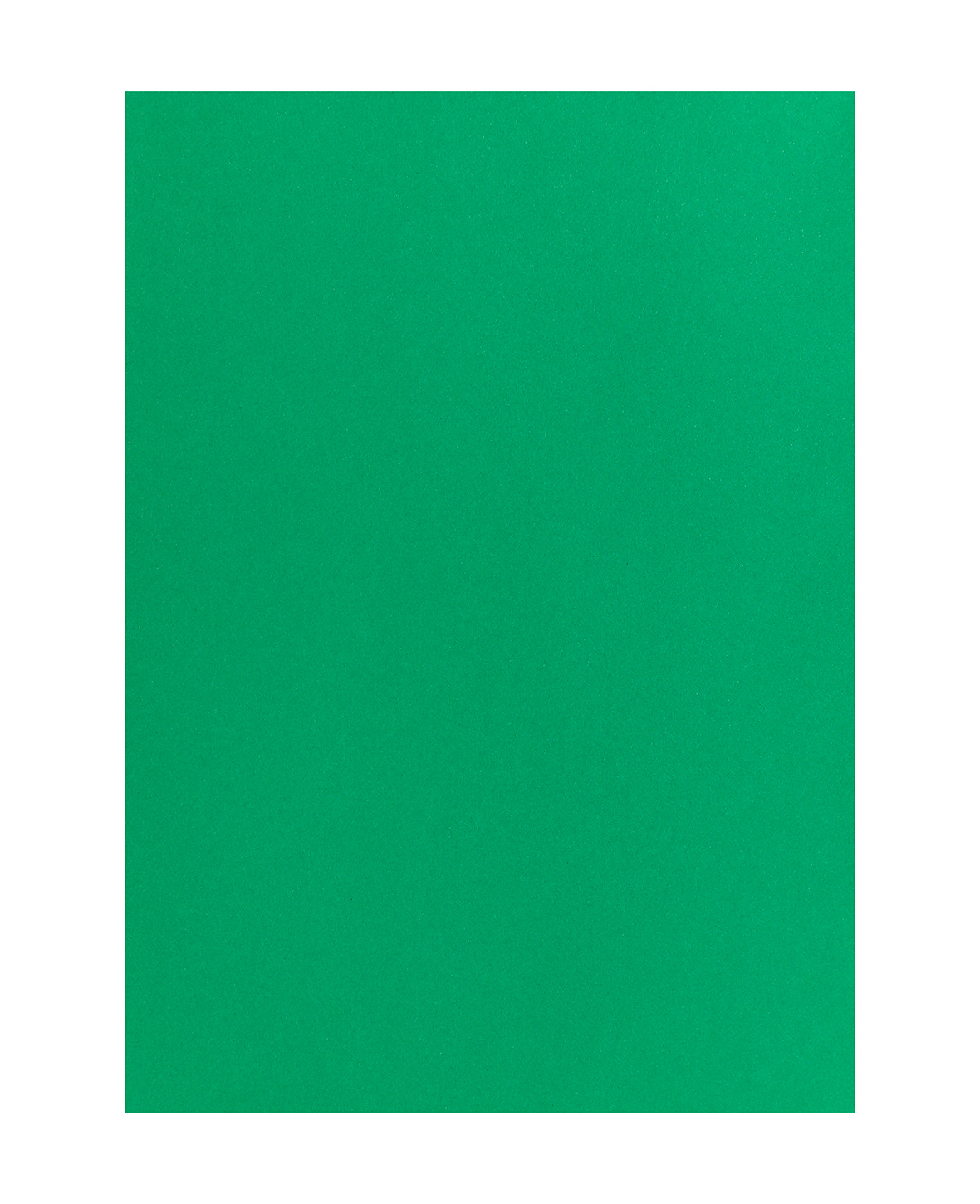 photo MAREIN Papier de couleur 50x70cm 2901208327 120g, vert sapin
