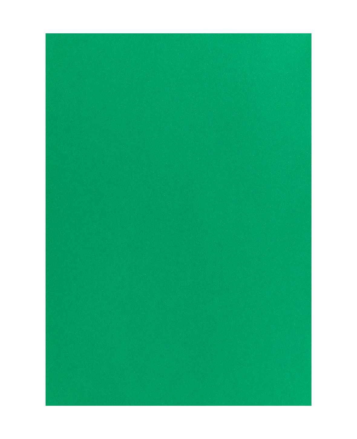 MAREIN Papier de couleur 50x70cm MPA2901208327 120g, vert sapin 120g, vert sapin