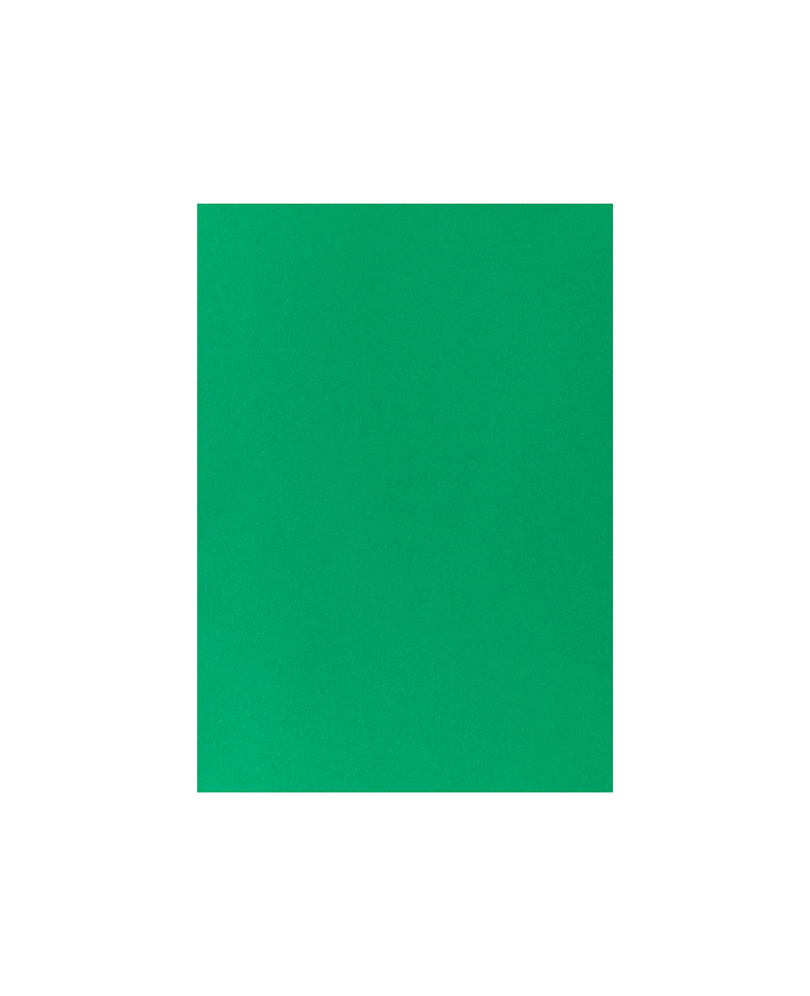 MAREIN Papier de couleur A4 MPA2903008327 120g, vert sapin 120g, vert sapin