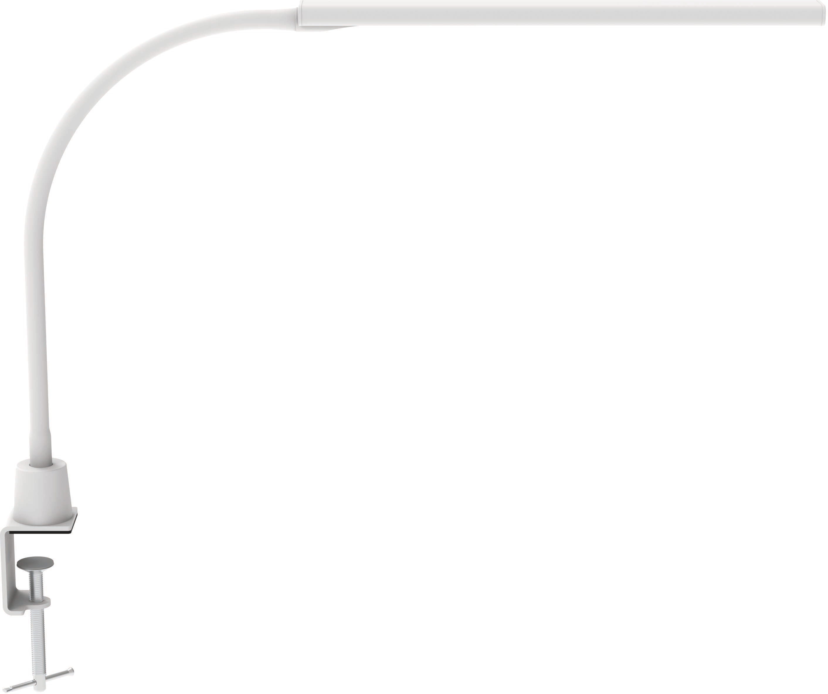 photo de l'article 724471