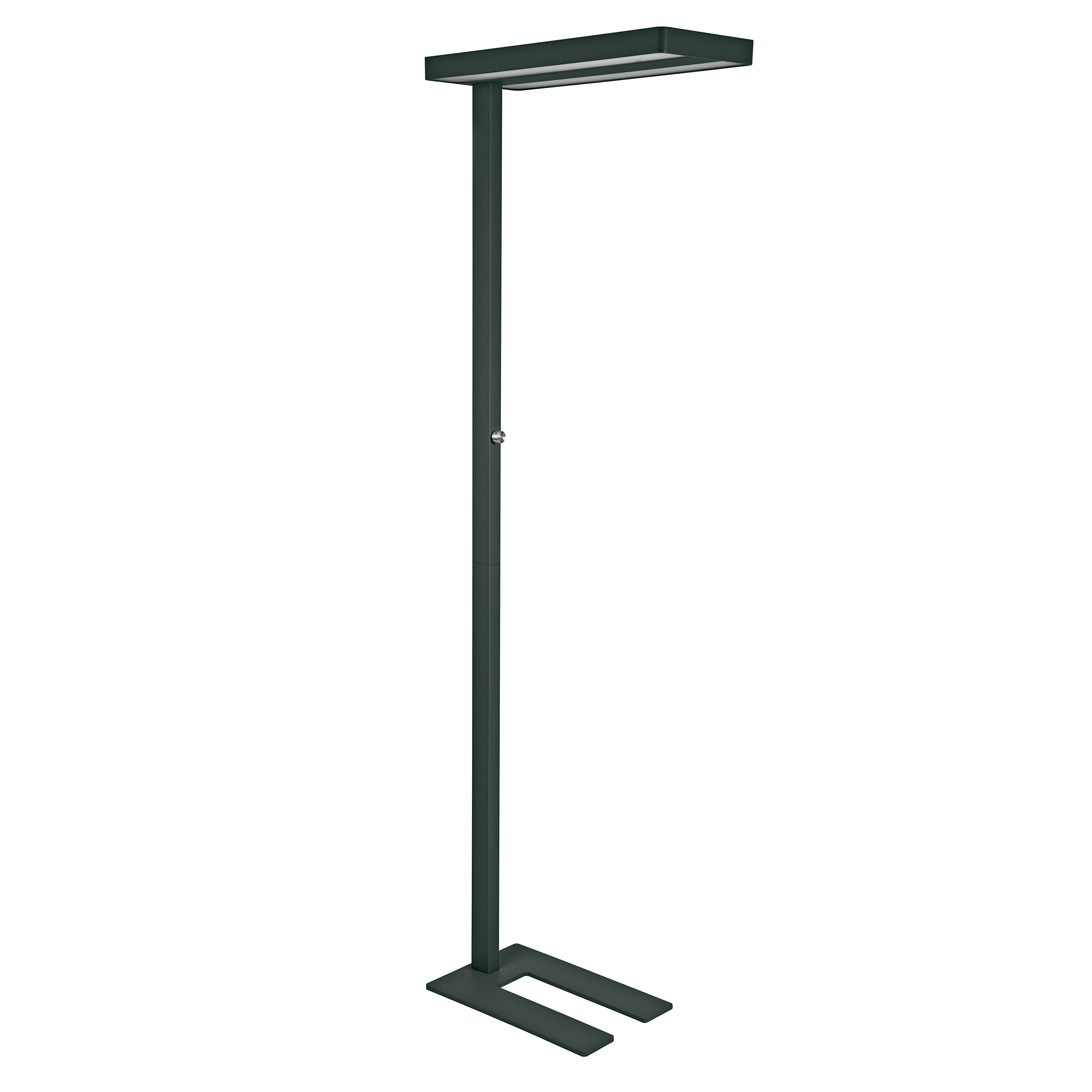 photo MAUL Lampadaire LED MAULjaval 335.00 noir, dimmable