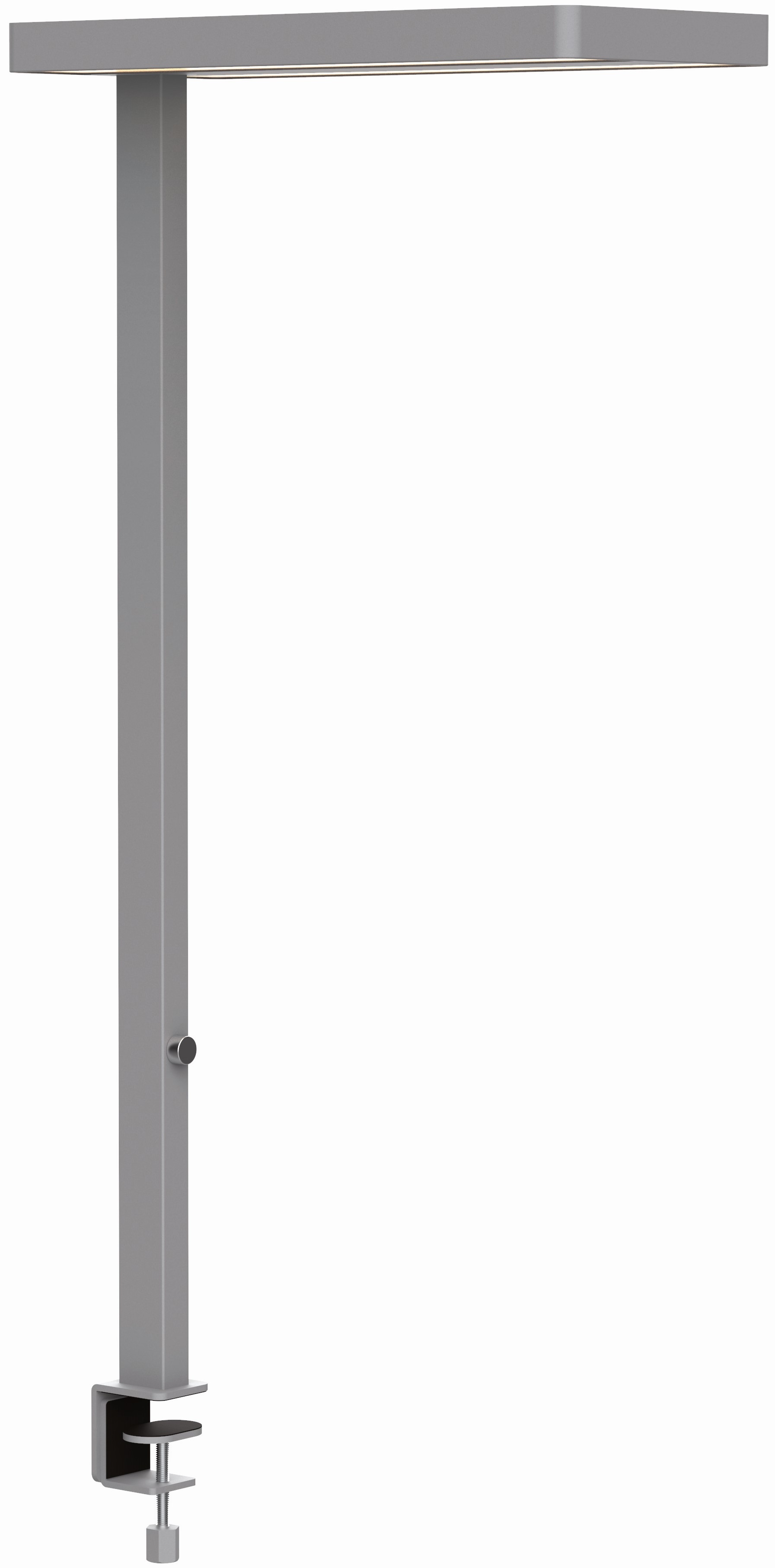 photo MAUL Lampe de table MAULjaval 338.00 argent, dimmable