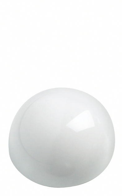 photo de l'article 490491