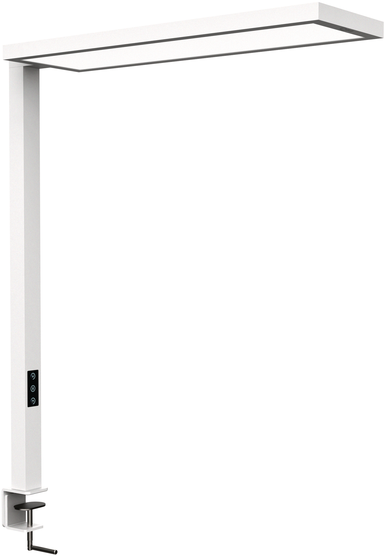 photo de l'article 728875