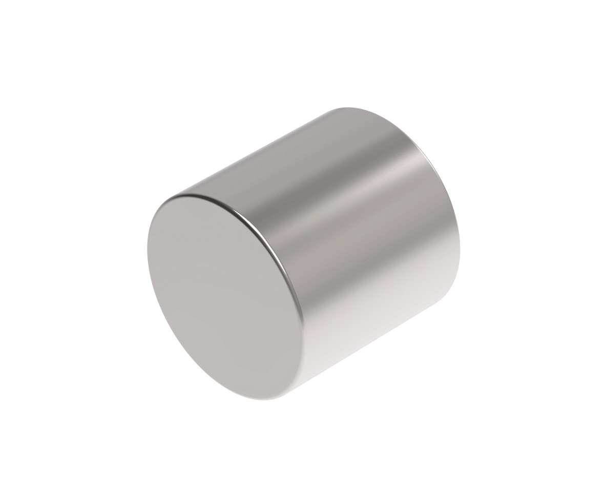 MAUL Neodym-Zylindermagnet10x10 6166896 mm 4 kg Haftkraft, 4 St./Set