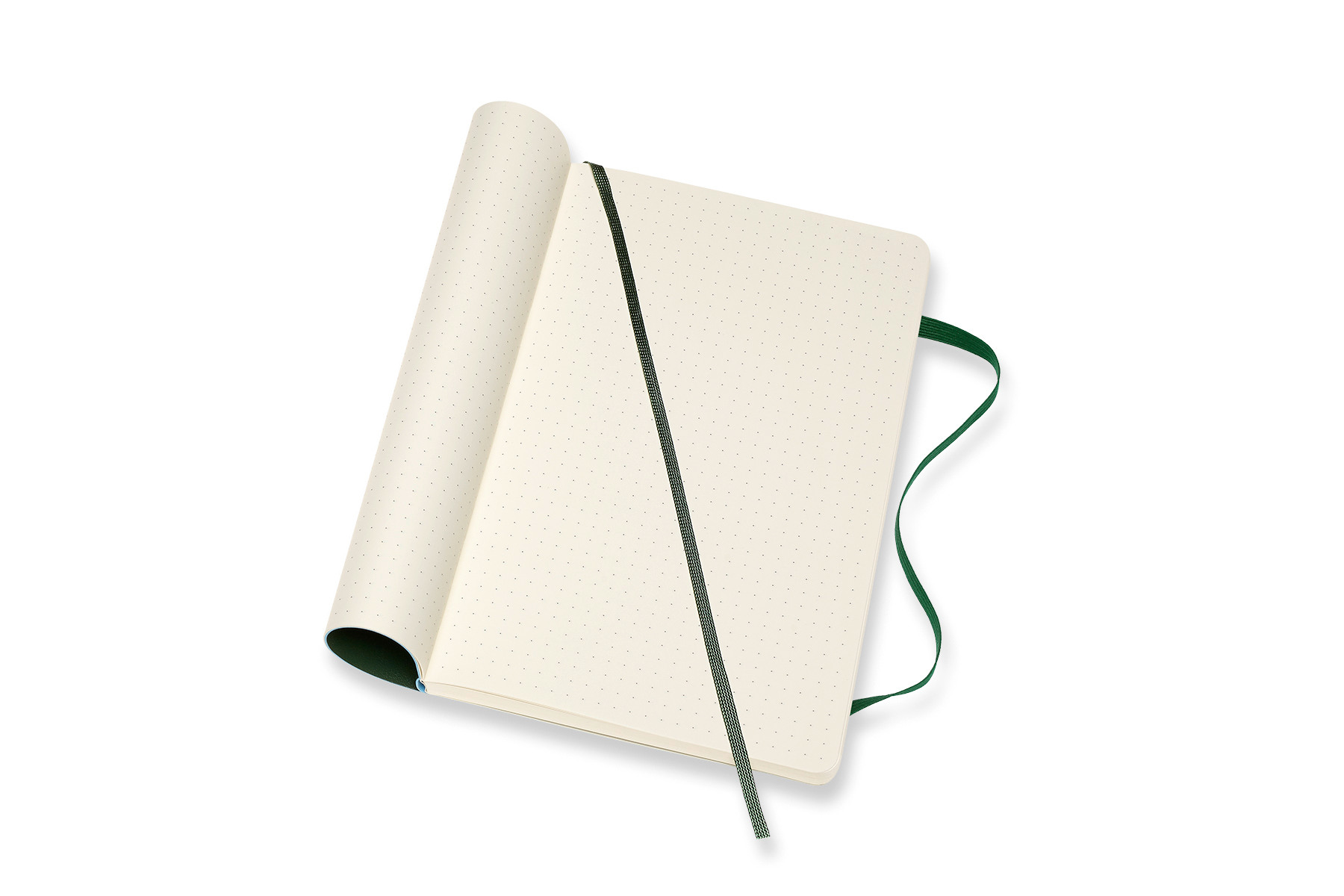 MOLESKINE Carnet SC L/A5 600042 pointé, vert, 240 pages