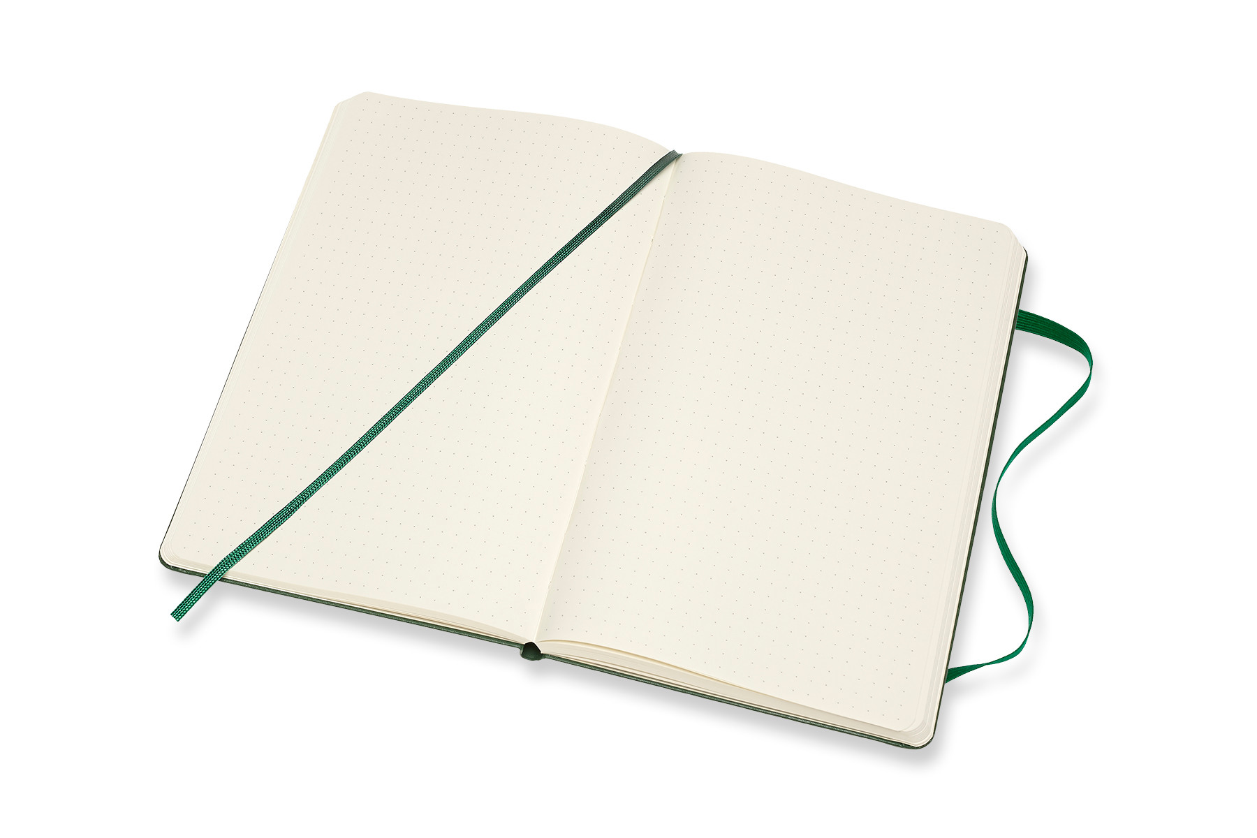 MOLESKINE Carnet HC L/A5 629094 pointé, vert, 240 pages