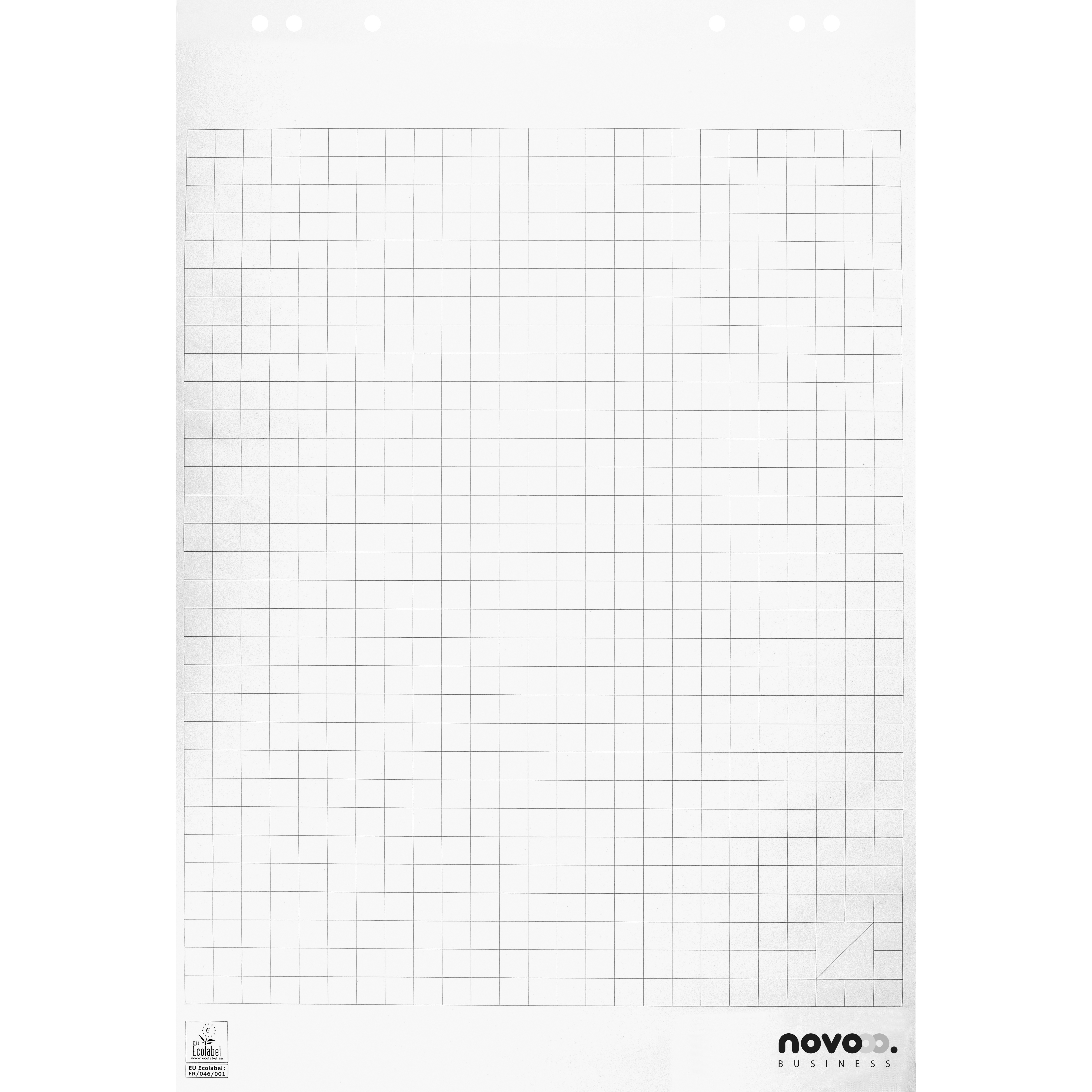 photo NOVOOO Bloc pour Flipchart 65x98cm 400174559 ECF quadrillé 5x20 feuille