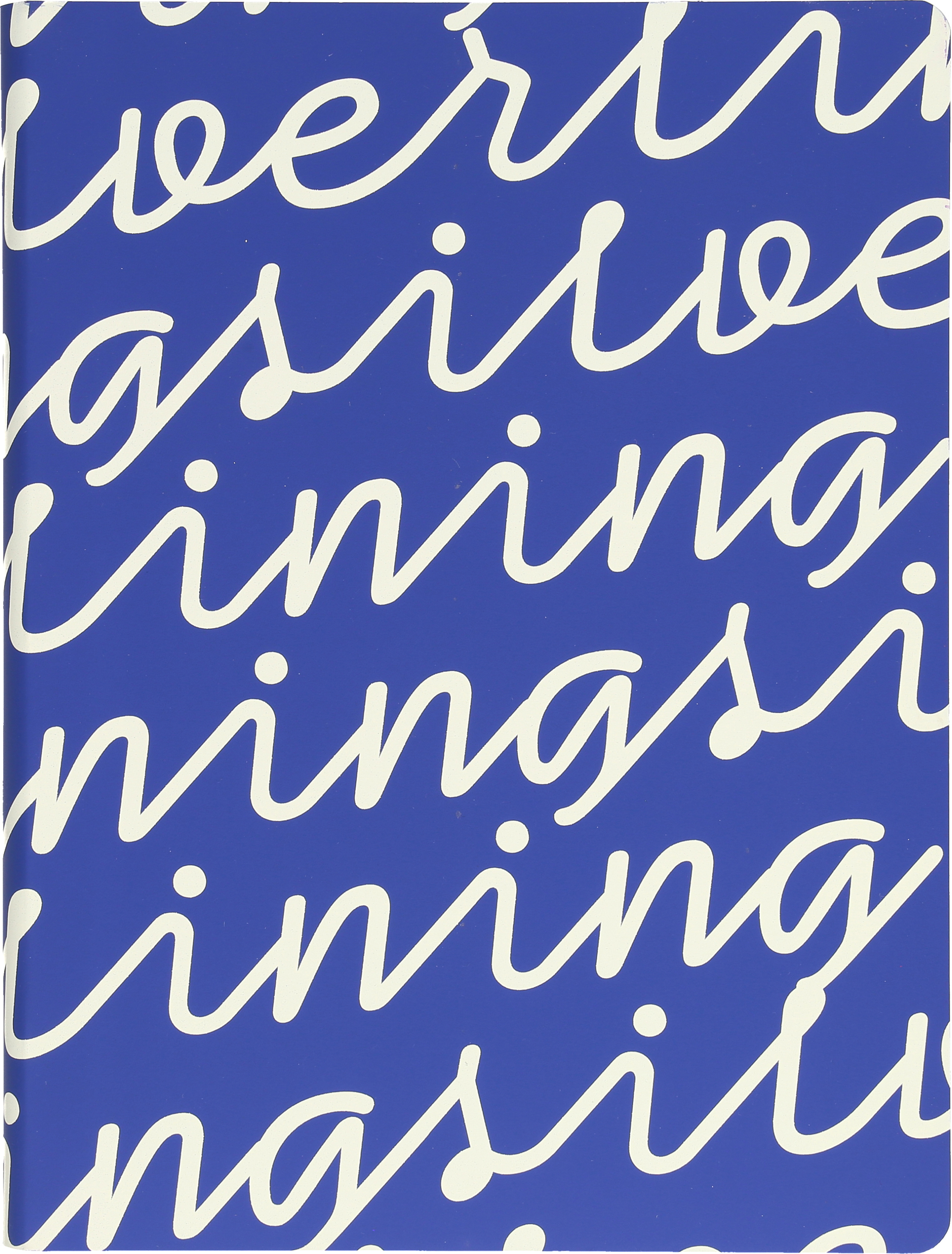 photo NUUNA Cahier de notes Graphic L 56376 SILVER LINING 256 pages