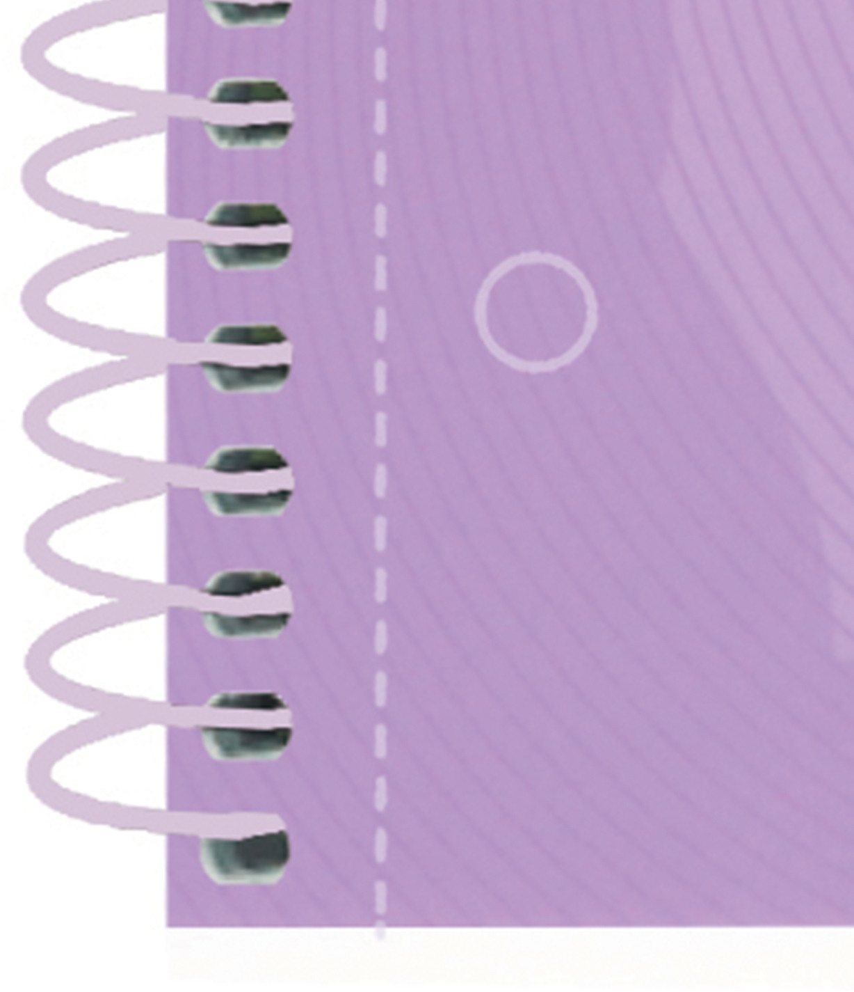 OXFORD Carnet à spirales A4+ 400117273 carreaux violet past. 80 flls.