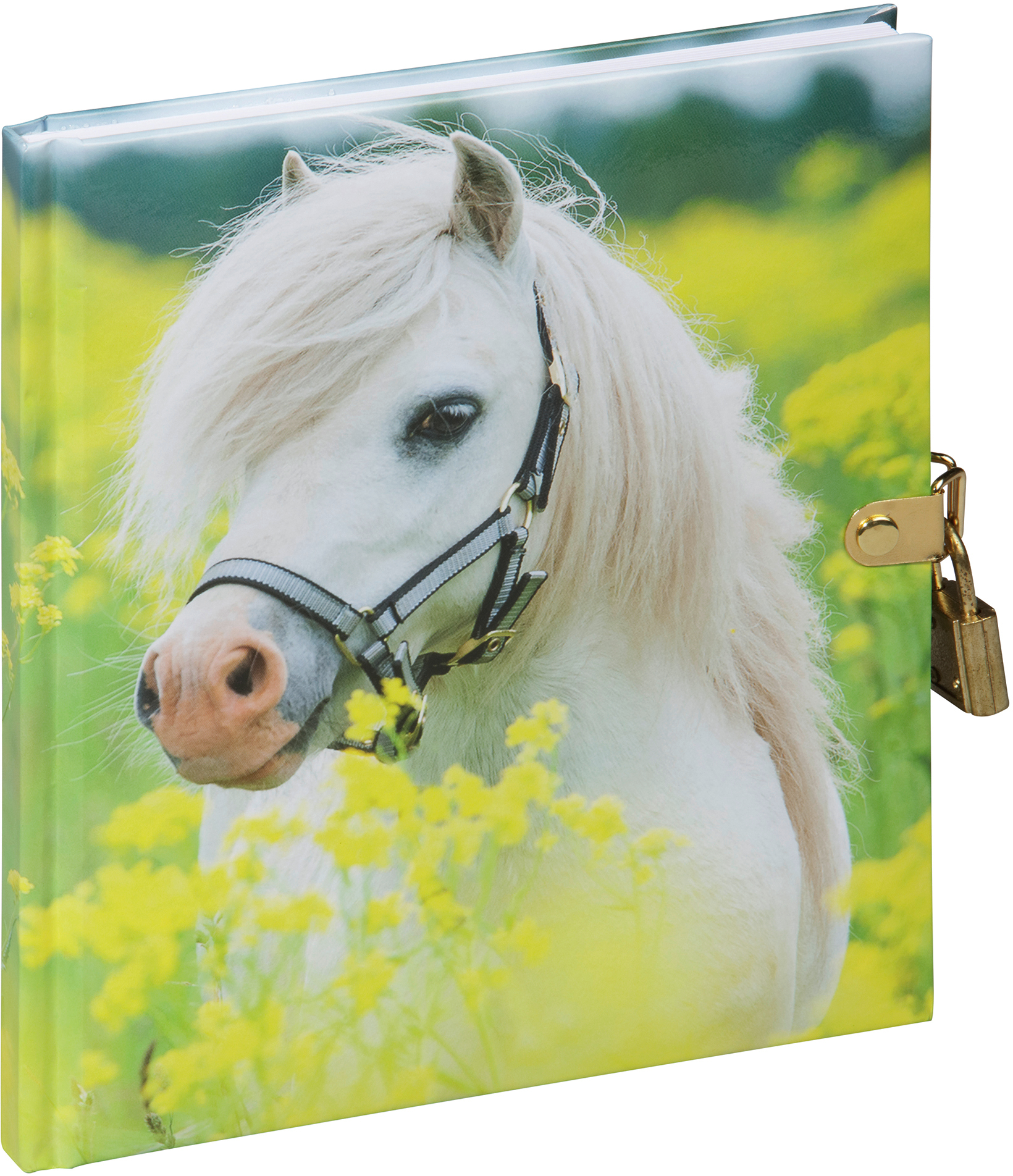 PAGNA Tagebuch 20241-15 kleines Pony 128S