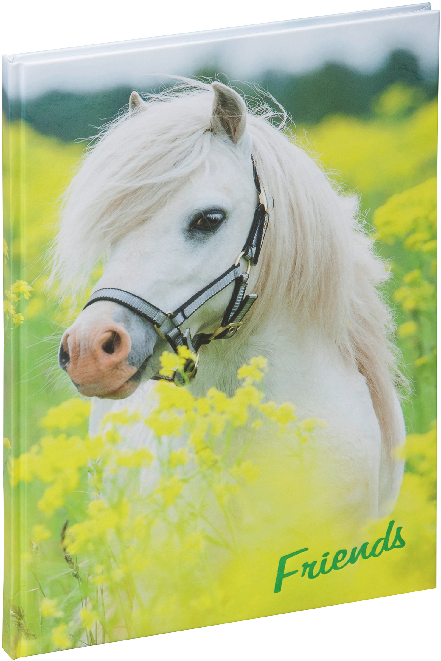 PAGNA Libre amis 20346-15 Pony 60S