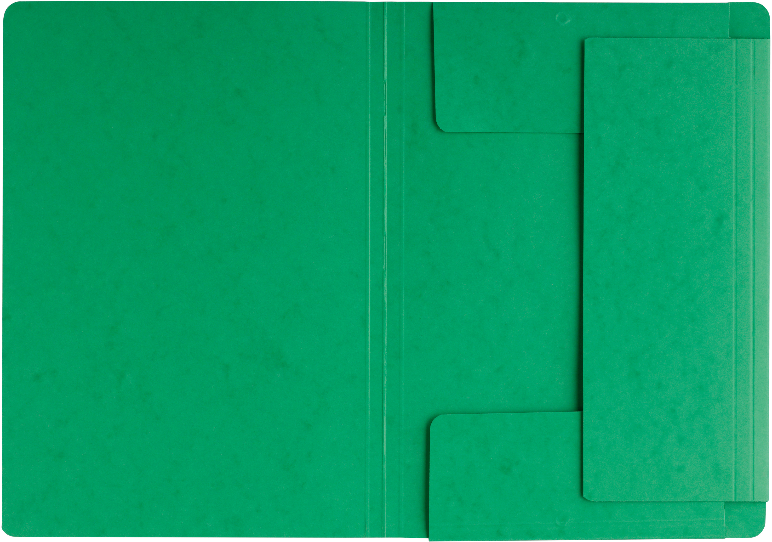 PAGNA Dossiers élastiques A4 24007-03 vert vert