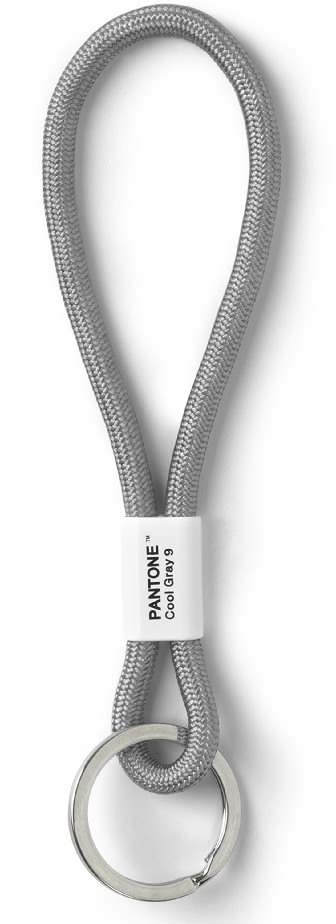 photo PANTONE Porte-clés 18cm 101300009 cool gray 9
