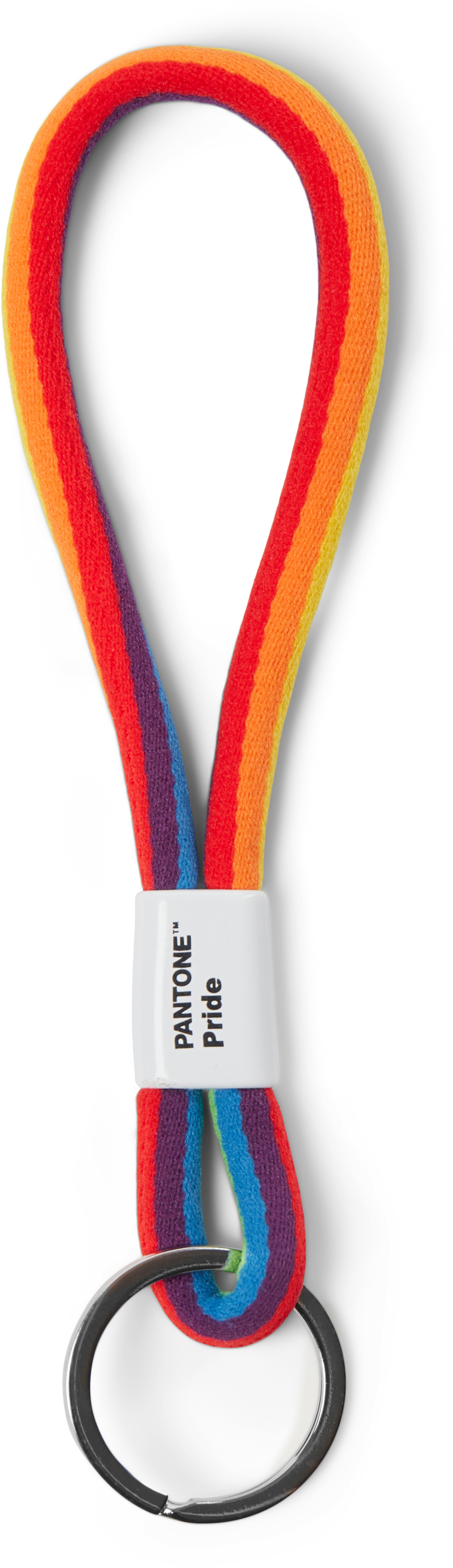 photo PANTONE Porte-clés 18cm 101300010 pride