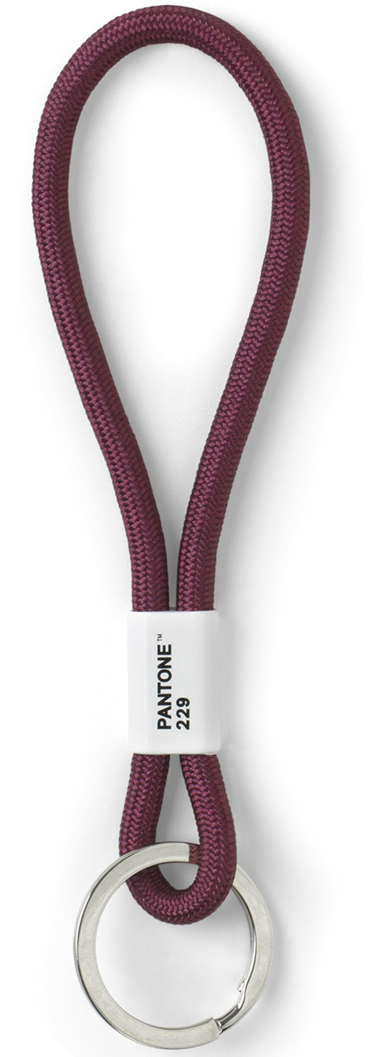 photo PANTONE Porte-clés 18cm 101300229 aubergine