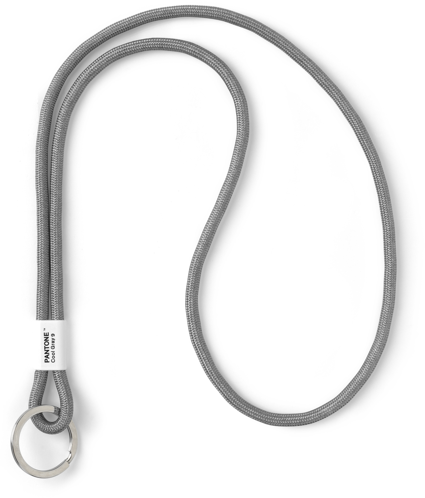 photo PANTONE Porte-clés 48cm 101310009 cool gray 9