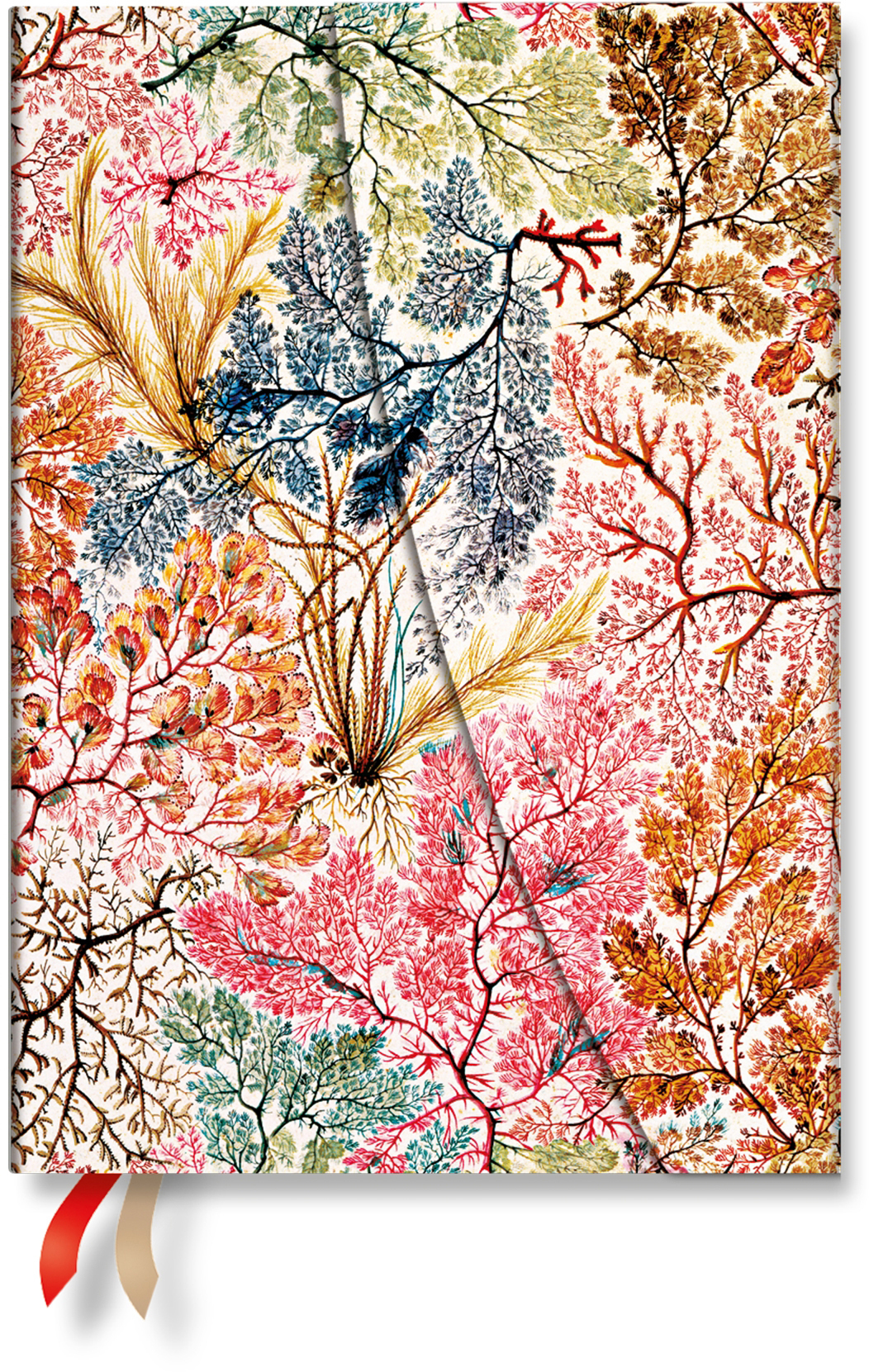 photo PAPERBLANKS Agenda Anemone 2027 DD1771-5 1S/2P HOR Midi HC AL 13x18cm