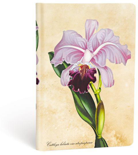 Paperblanks Notizbuch, brasilianische Orchidee, mini<br>