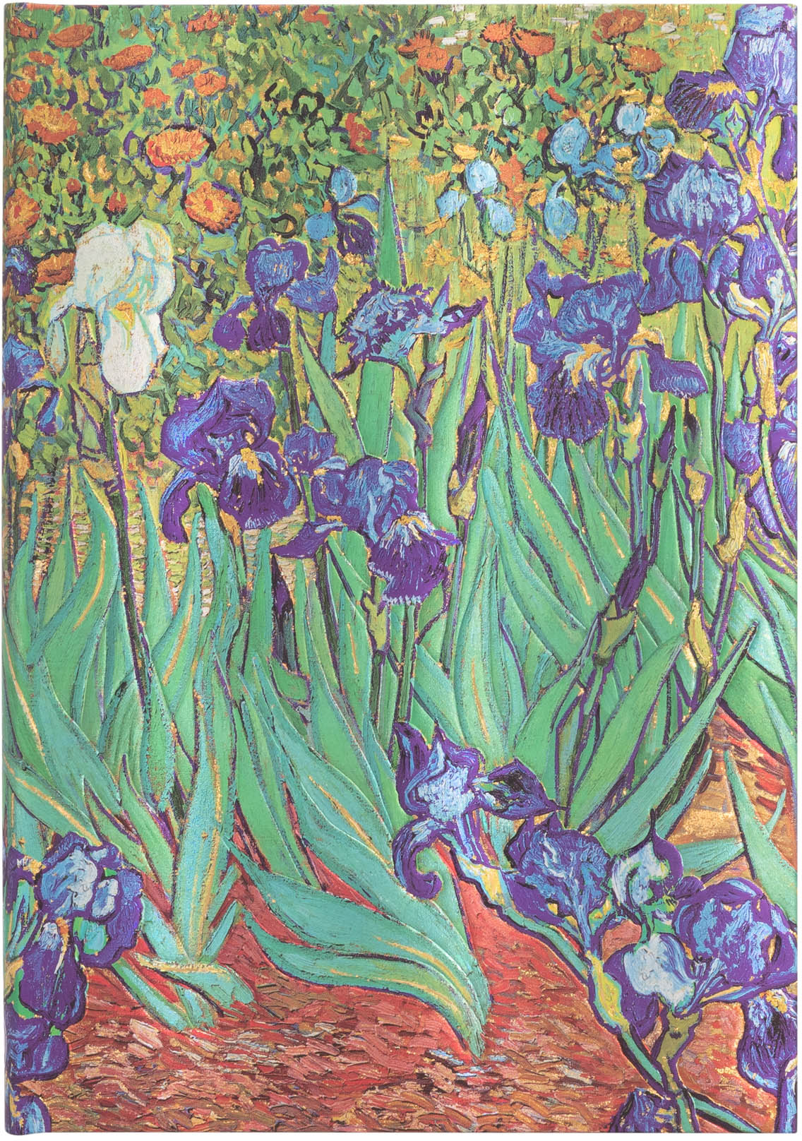 PAPERBLANKS Carnet Van Goghs Midi PB8204-0 ligné, 144 S., multicouleur