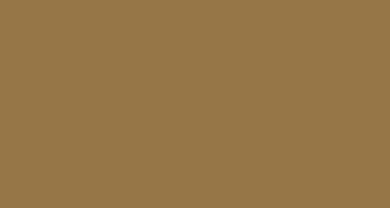 PAPYRUS Papier à dessin couleur A3 88020043 130g, brun clair 100 feuilles