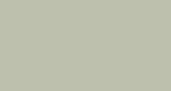 PAPYRUS Papier à dessin couleur A3 88020044 130g, argent gris 100 feuilles
