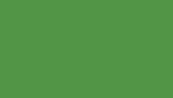 PAPYRUS Papier à dessin couleur A4 88020059 130g, vert clair 100 feuilles