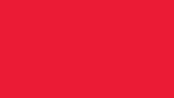 PAPYRUS Papier à dessin couleur A4 88020064 130g, rouge int. 100 feuilles 130g, rouge int. 100 feuil