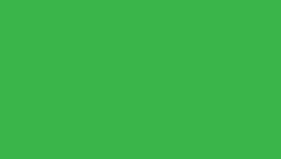 PAPYRUS Papier à dessin couleur A4 88020077 130g, vert herbe 100 feuilles