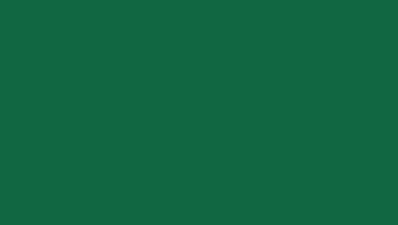 PAPYRUS Papier à dessin couleur A4 88020078 130g, vert foncé 100 feuilles