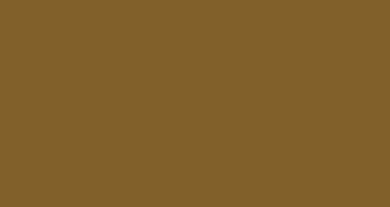PAPYRUS Papier à dessin couleur A3 88020086 130g, brun 100 feuilles