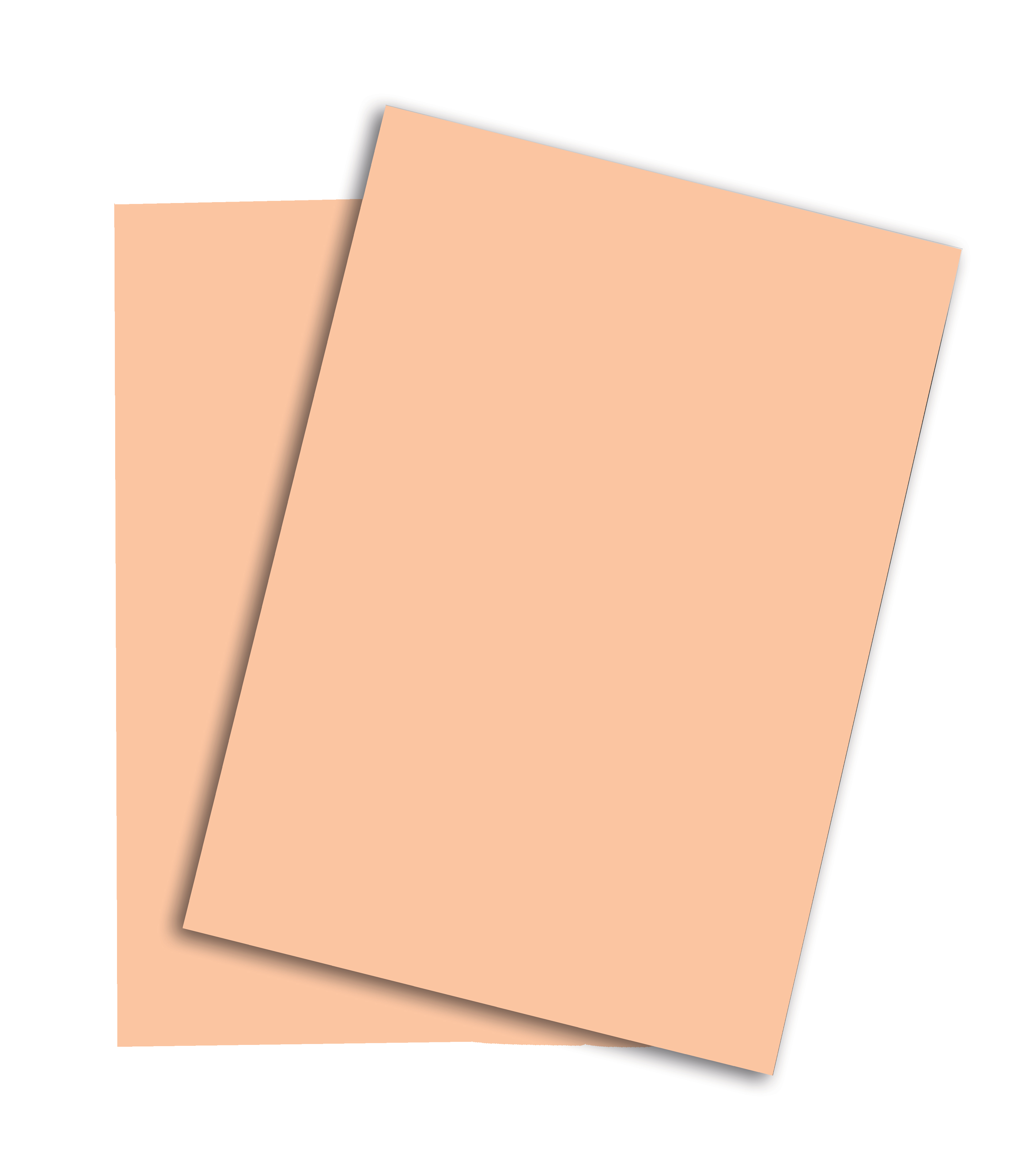 PAPYRUS Rainbow Paper FSC A3 88042506 160g, lachs 250 feuilles