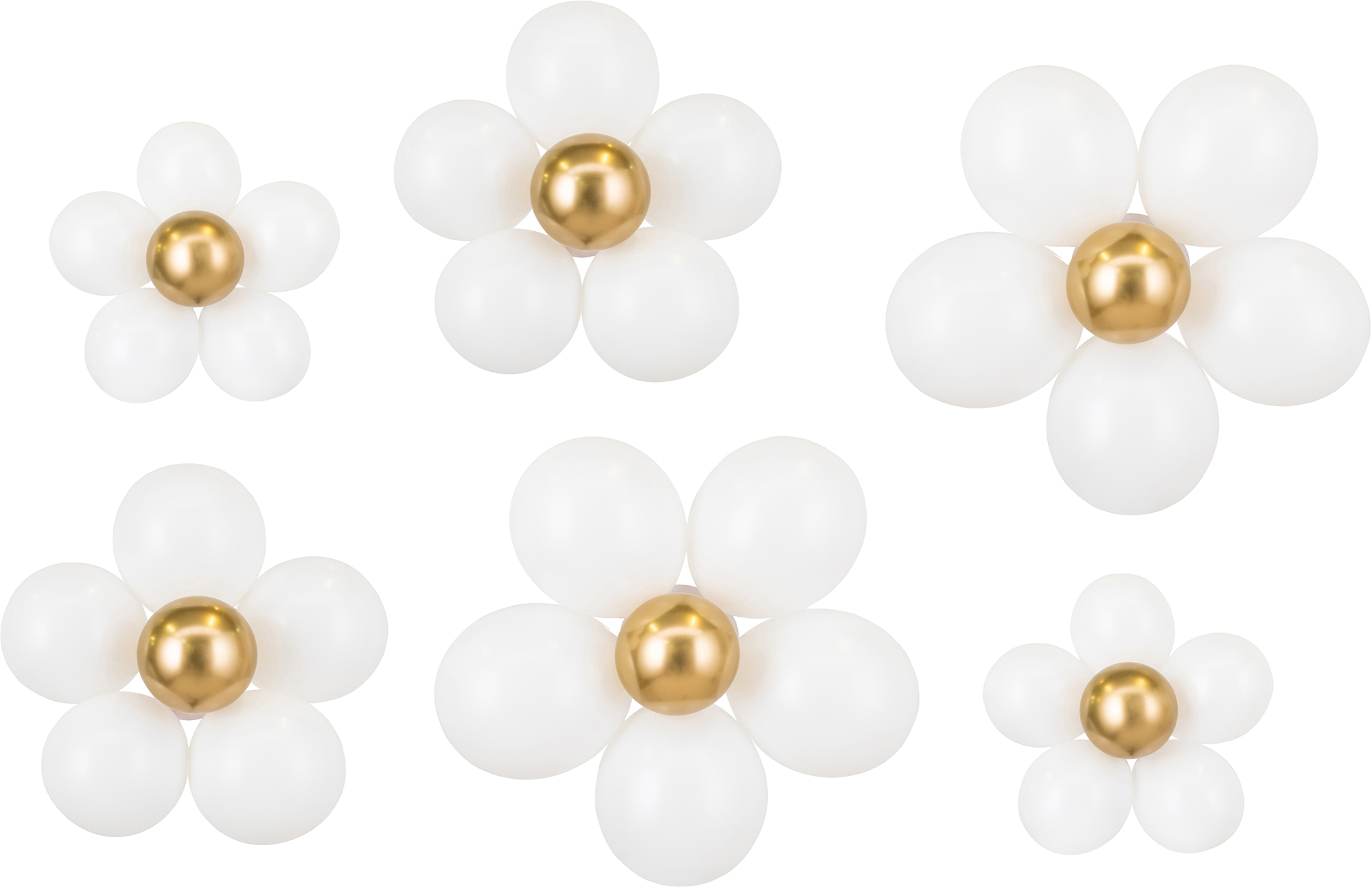 photo de l'article 424626