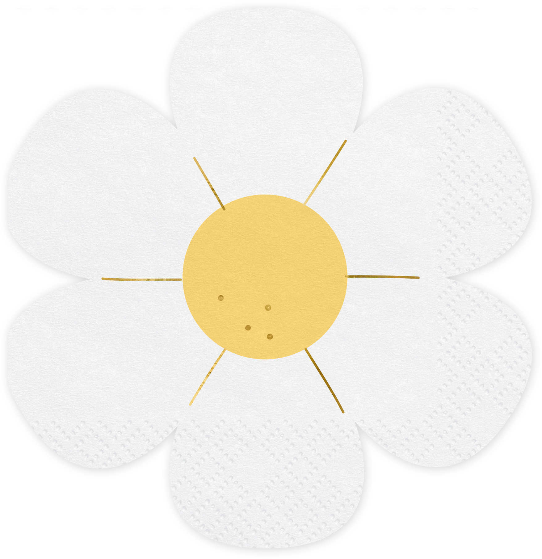 photo de l'article 424627