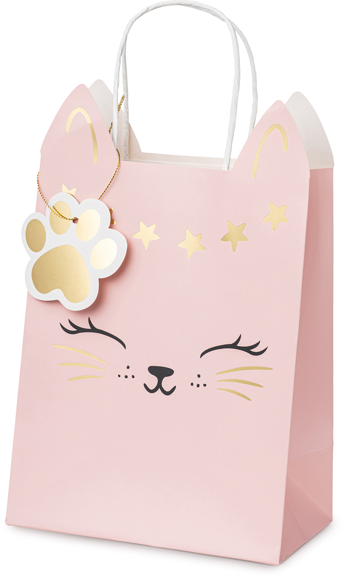 photo PARTYDECO Sac cadeau 18x10.5x27.5cm TNP34 Chat rose