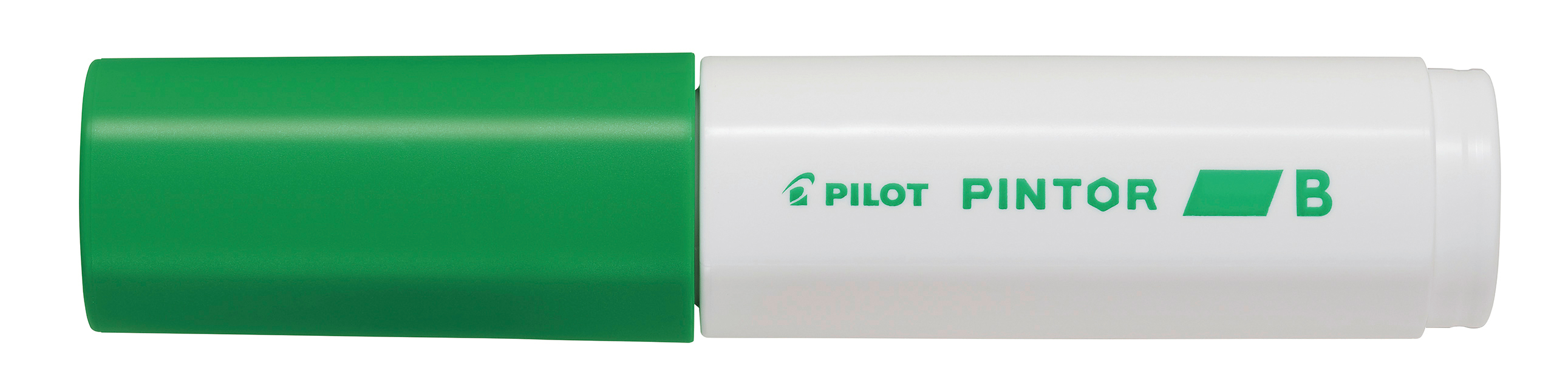 PILOT Marker Pintor 8.0mm SW-PT-B-LG vert claire