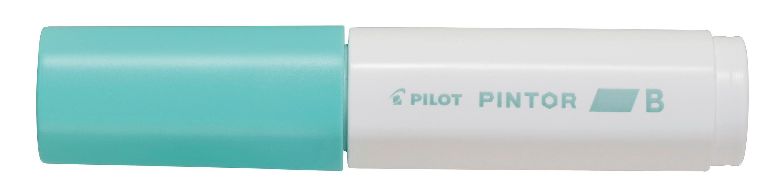 PILOT Marker Pintor 8.0mm SW-PT-B-PG pastell vert