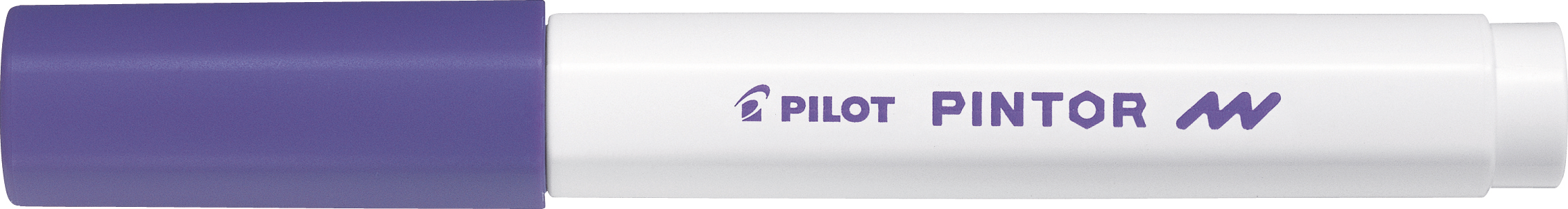 PILOT Marker Pintor F SW-PT-F-V violet