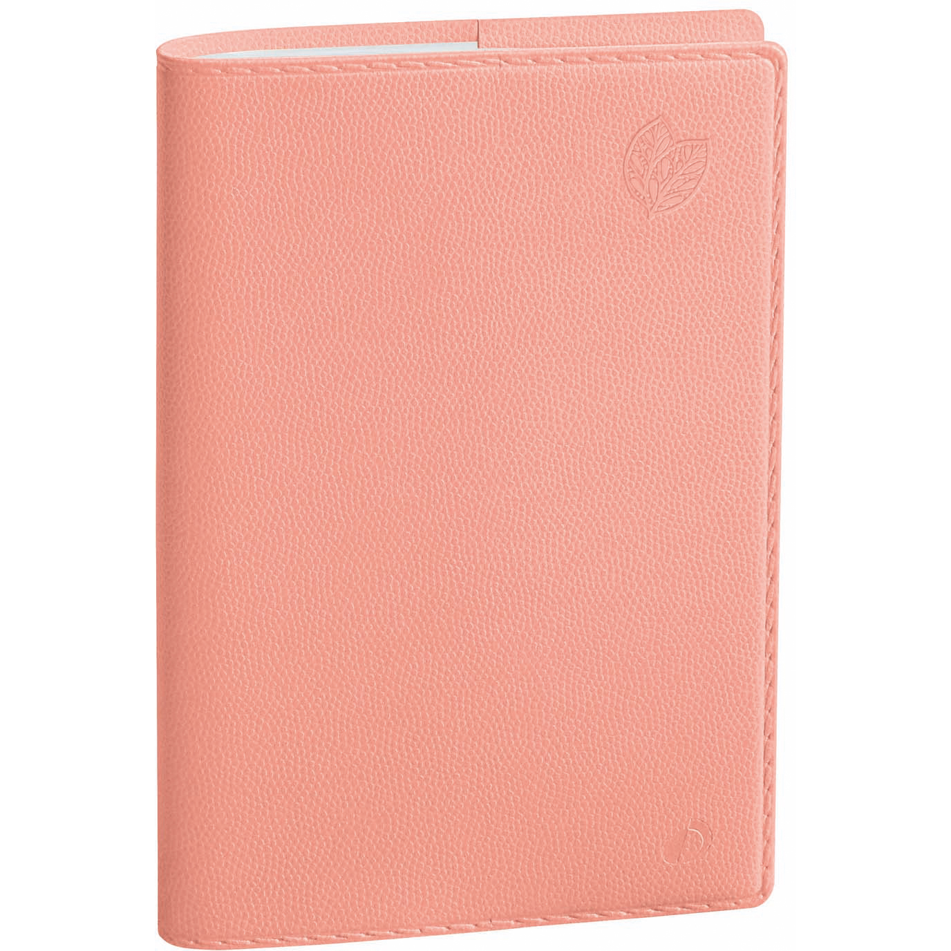 photo QUO-VADIS Universitaire R Equology 25/26 028918Q 1S/2P 13M pamplemo ML 10x15cm