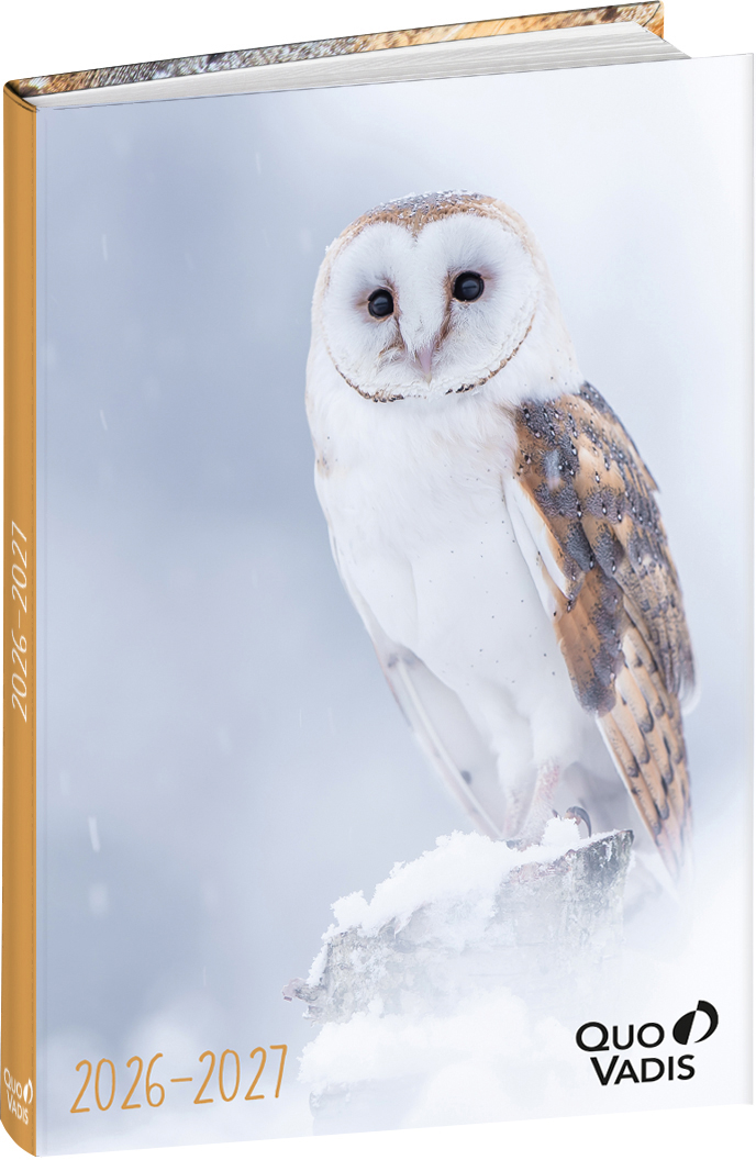 photo de l'article 711047