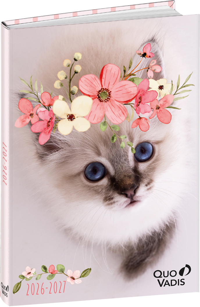 photo de l'article 730232