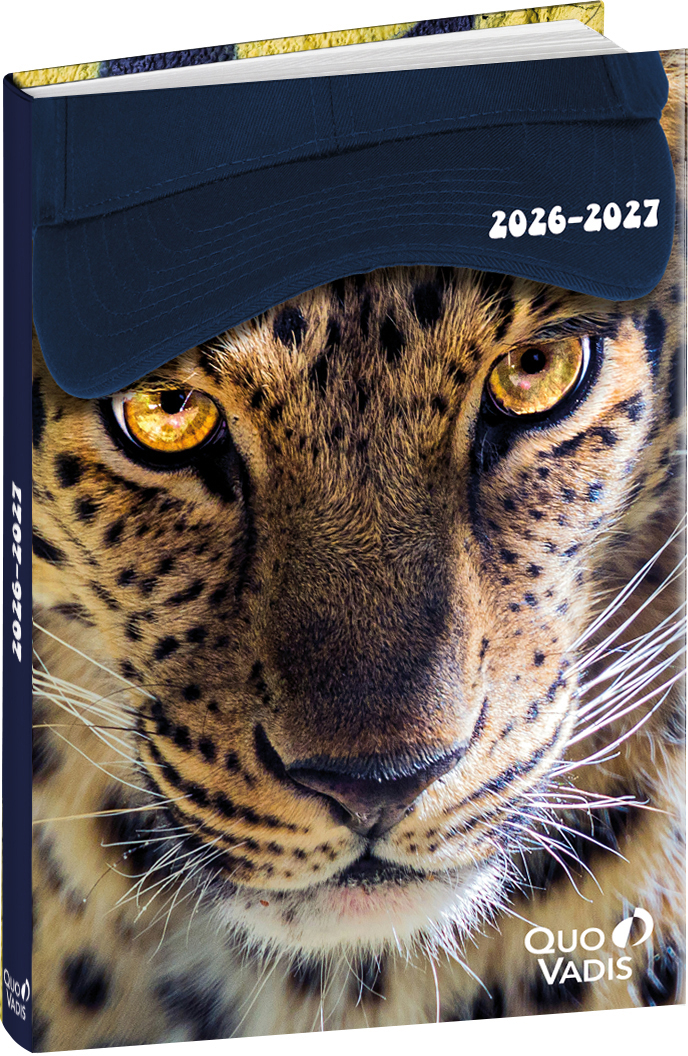 photo de l'article 730235