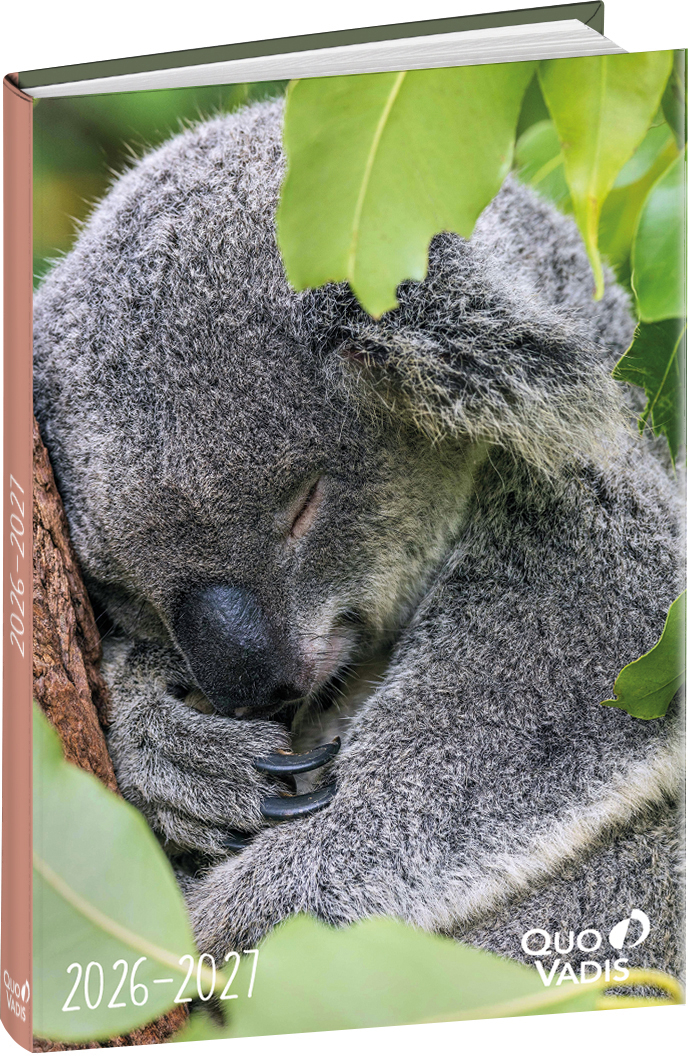 photo de l'article 711049