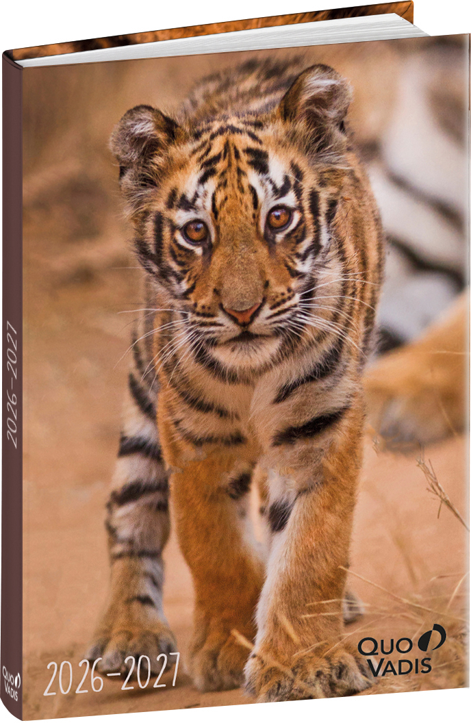 photo de l'article 711050