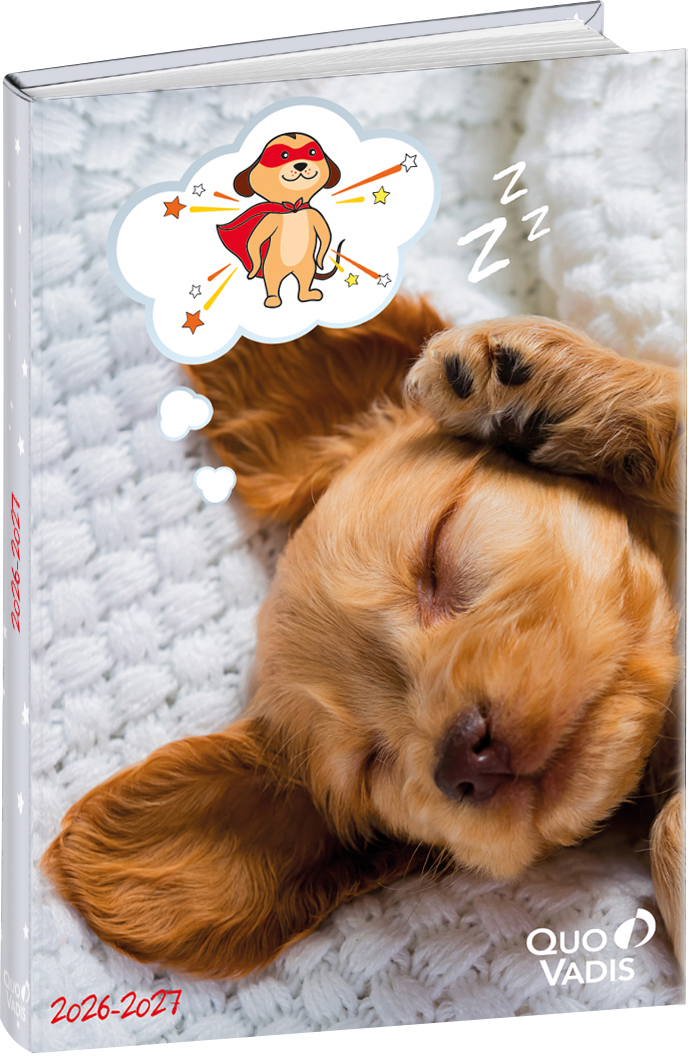 photo de l'article 730233