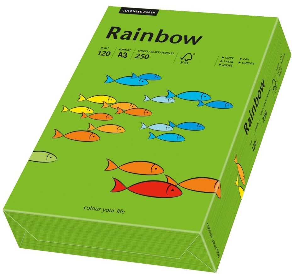 photo RAINBOW Papier vert intense/78 A3 88042679 FSC, 120g 250 feuilles